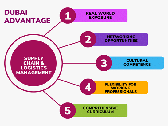 Supply Chain and Logistic Management in Dubai