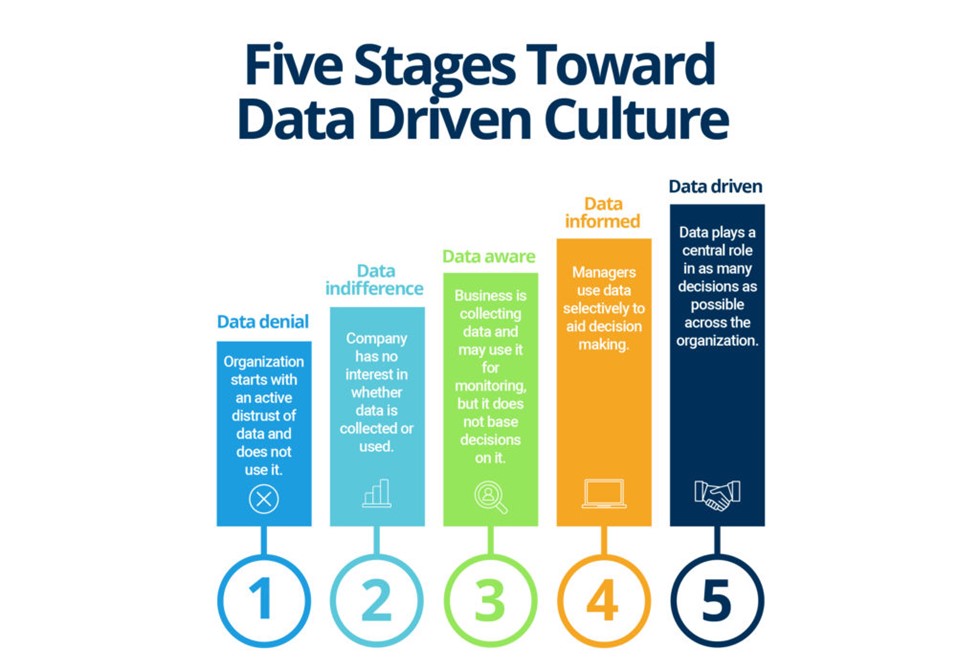 Building a Data-Driven HR Culture: Strategies for Success