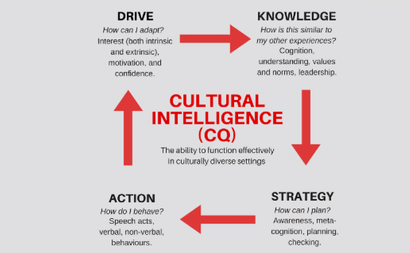 Cultural Intelligence